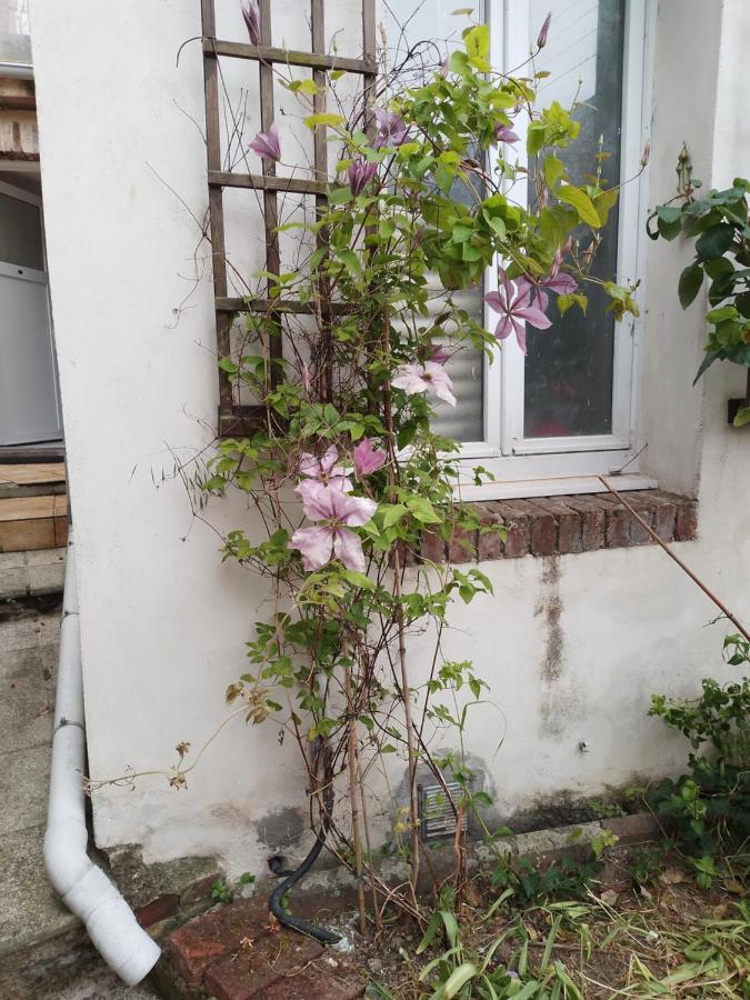 Residence Alexia Сен-Валери-ан-Ко Екстериор снимка